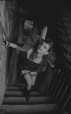 The Widow Of Dracula