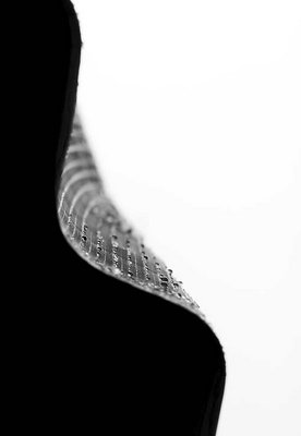Banana leaf