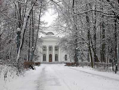 Winter Landscape