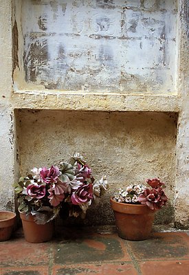 Flowers and Textures