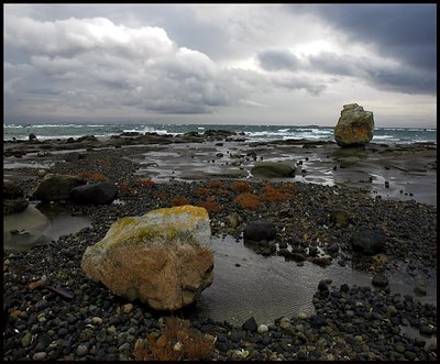 Heron Rocks 