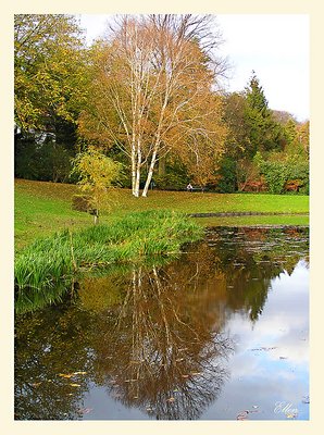 Reflecting fallcolors