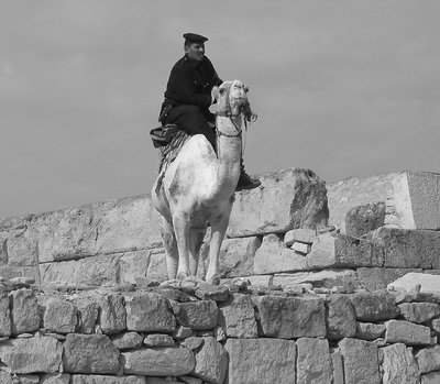 The Pyrmid's Guard
