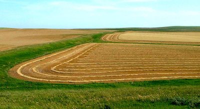 Fields of South Dakota