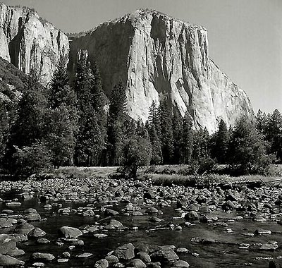 El Capitan / Yosemite