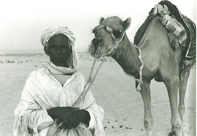 deserto