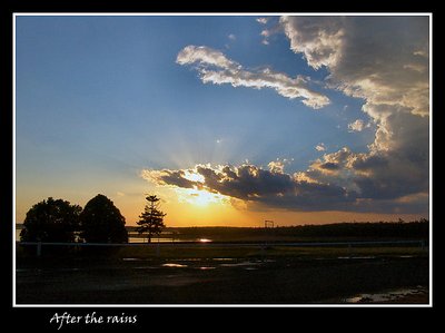 After the rains