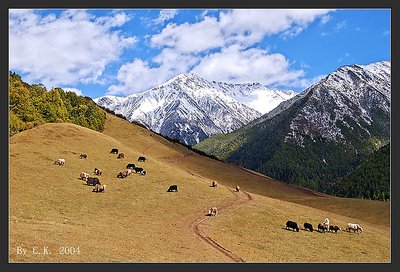 Scene of plateau