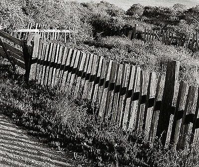 Fence / Northcoast CA