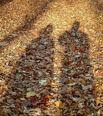 Colours and Shadows