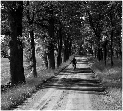 Biking ... 