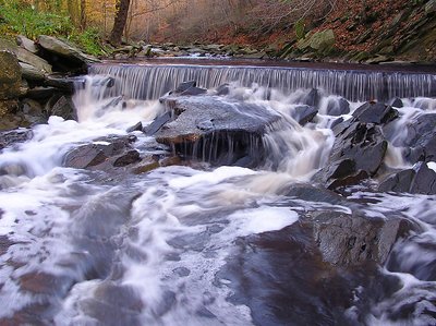 Little Falls Brunch creek - next place to study