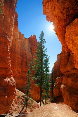 The Inner Beauty of Bryce