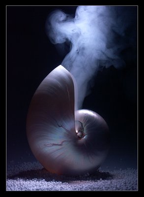 [ SMOKING Shell ] 