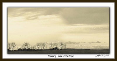 Morning Prairie Scenic View