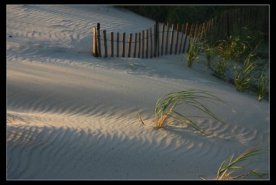 Soft Sand Lines