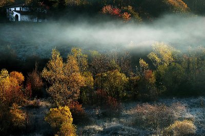 Frosty Morning.....