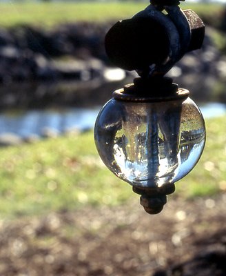 the glass ball