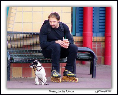 Waiting For His Owner