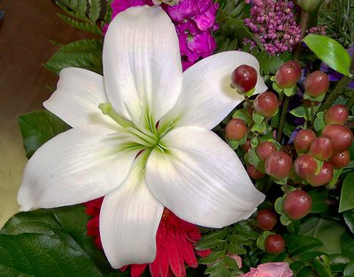 Lily and Berries