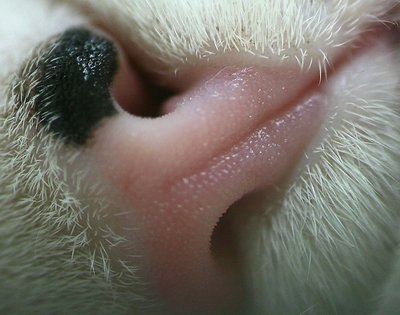 Cuteness up close!