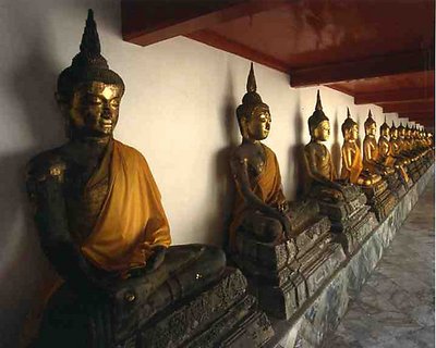 Bangkok  Buddha  Row