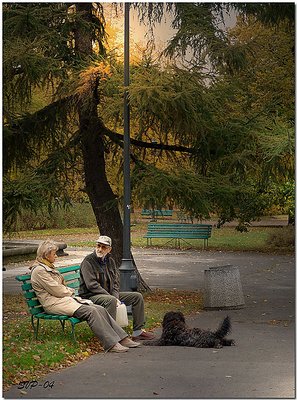 Autumn Evening in Provencial Park