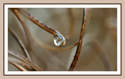 One Drop
