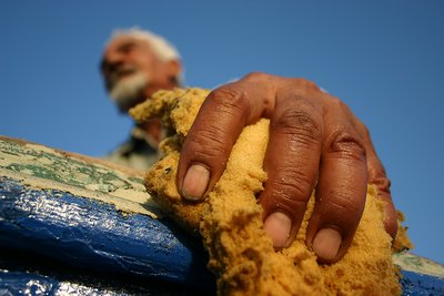 Hand of a Fisherman