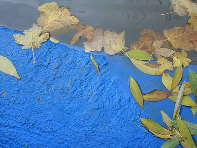 autumn in blue