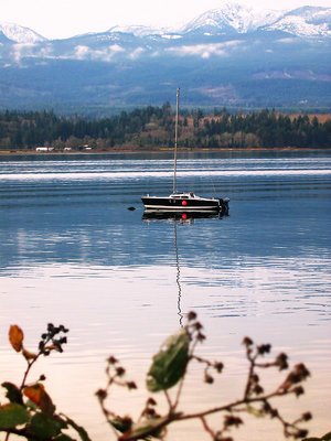 boat and berries