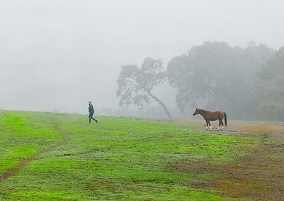  Woman Horse Foggy Morning