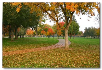 Elk Grove Fall