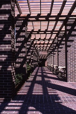 A View of Shadows