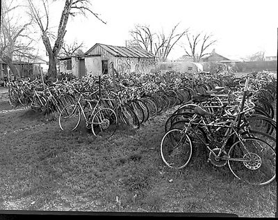 The Bike Shop