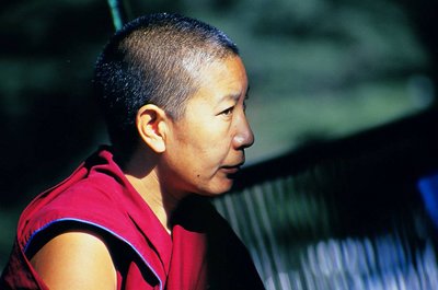 A monk at Dharamsala