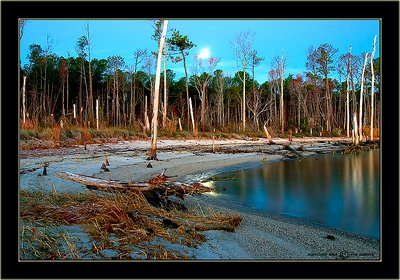 Moonscape II