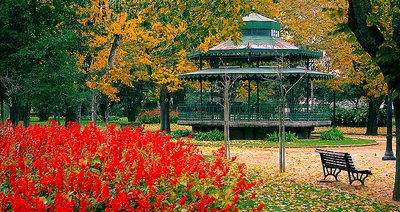 Concert for an Autumn Garden