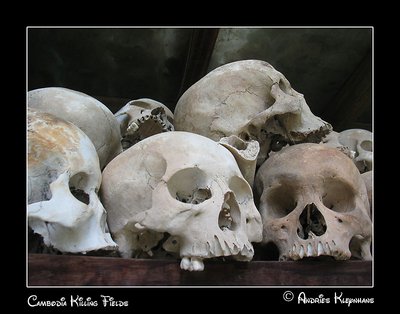 The Killing Fields