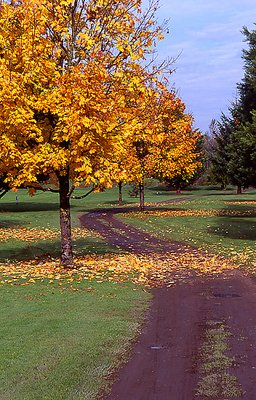 Autumn's Destruction...