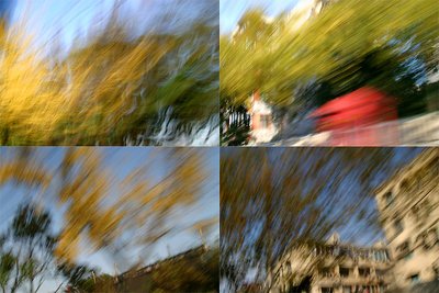 L'automne 2004 abstrct