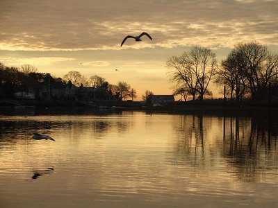 Golden morning