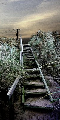beach stairway/the end of the line