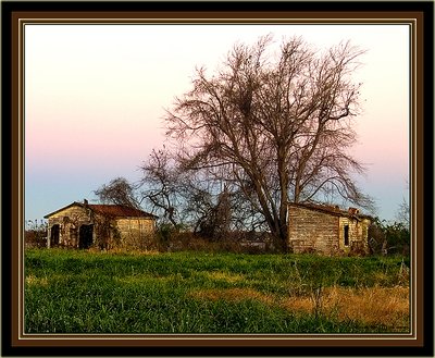 Two Sheds And A Tree