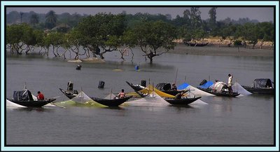 SUNDERBANS( exotic India)