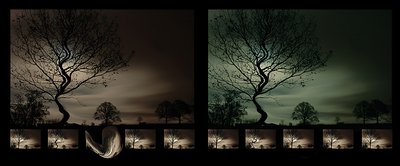 The calling tree 2