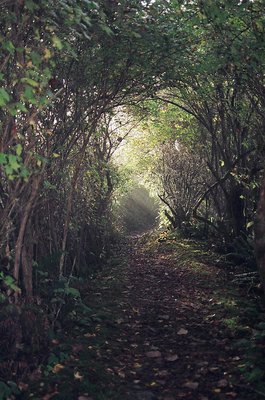 Keep Walking