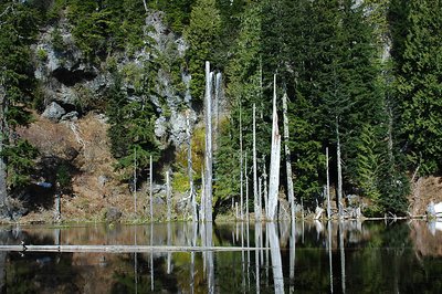 June lake reflections