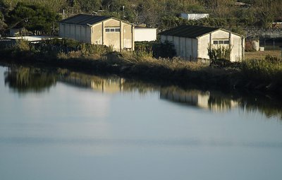 Reflections on the lake