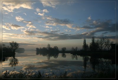 Creek at dawn II